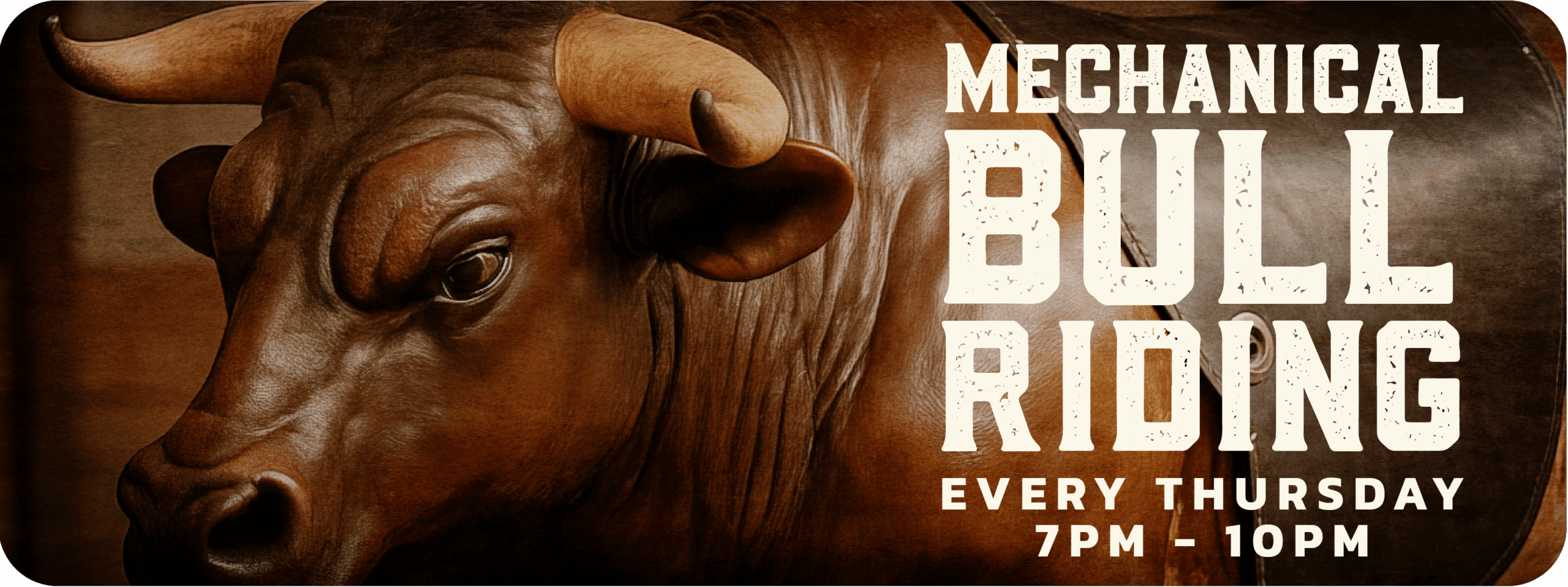 Events Slider_Bull Riding-min